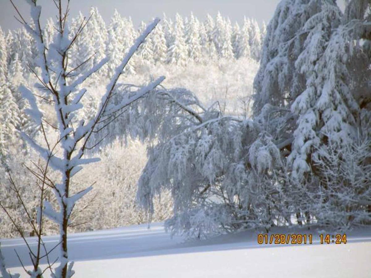 Ferienhaus Ferien Am Waldrand Altenberg ภายนอก รูปภาพ
