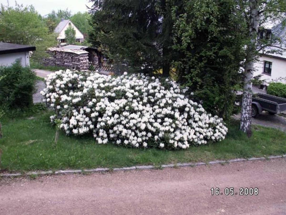 Ferienhaus Ferien Am Waldrand Altenberg ภายนอก รูปภาพ
